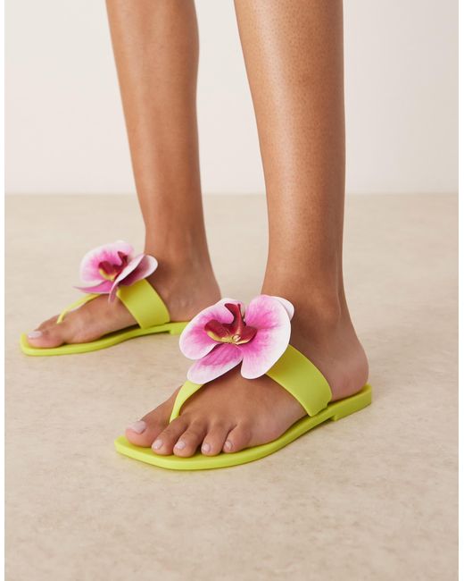 ASOS Green – flutter – jelly-zehenstegsandalen
