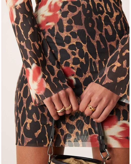Wild Lovers Oasis in het Multicolor