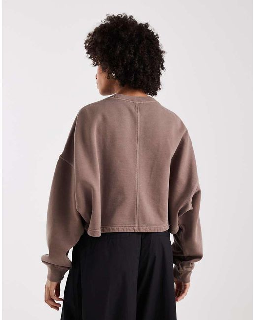 Adidas Originals Brown Essentials Linear Cropped Sweatshirt