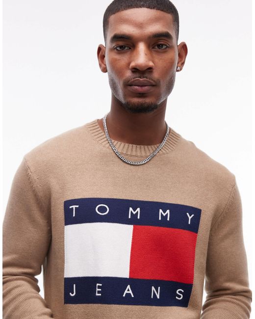 Tommy Hilfiger Multicolor Regular Flag Sweatshirt for men