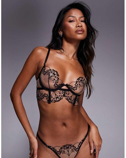 Bluebella Brown Marisa Longline Sheer Bra