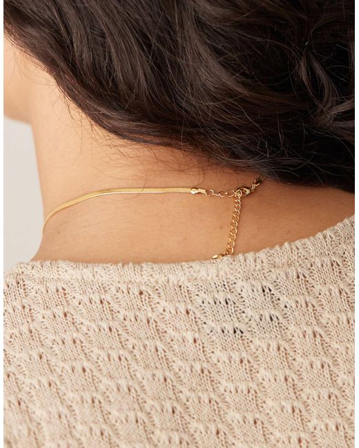 Orelia Brown Flat Snake Chain Necklace