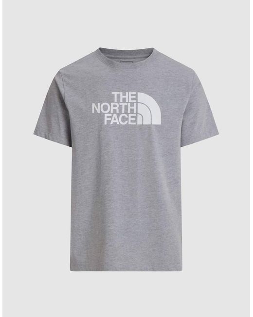 The North Face Gray M Evolution Half Dome Regular Short Slee for men