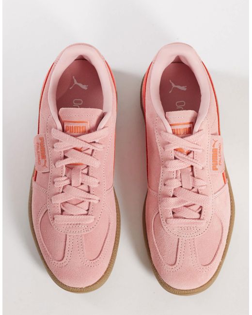 Palermo - baskets - clair PUMA en coloris Pink