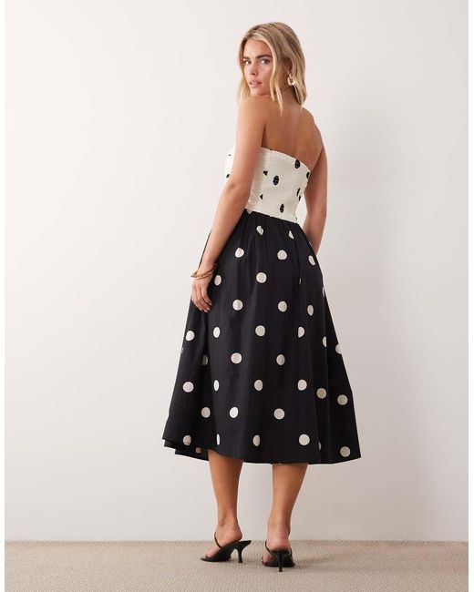 Nobody's Child Petite Black Felicity Cotton Bandeau Midi Dress
