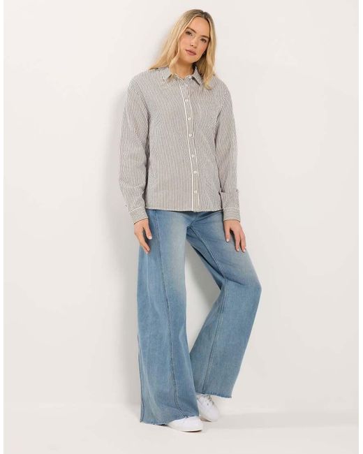 Long Tall Sally Gray Stripe Shirt