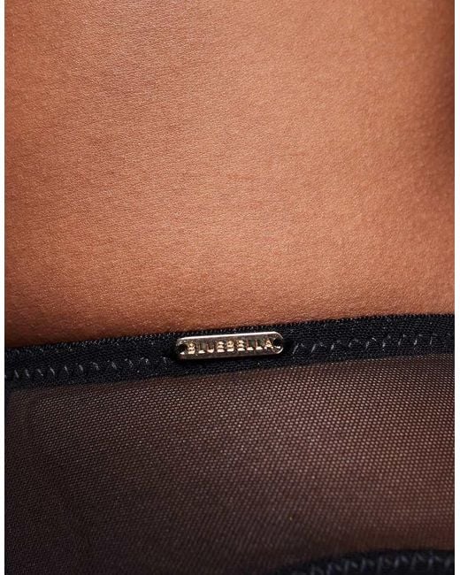 Bluebella Black Laura Suspender