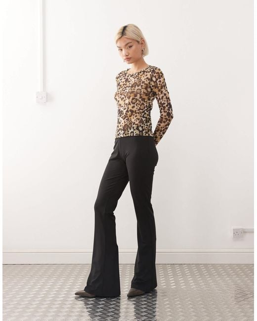 Noisy May Natural – netzstoff-oberteil mit leopardenmuster