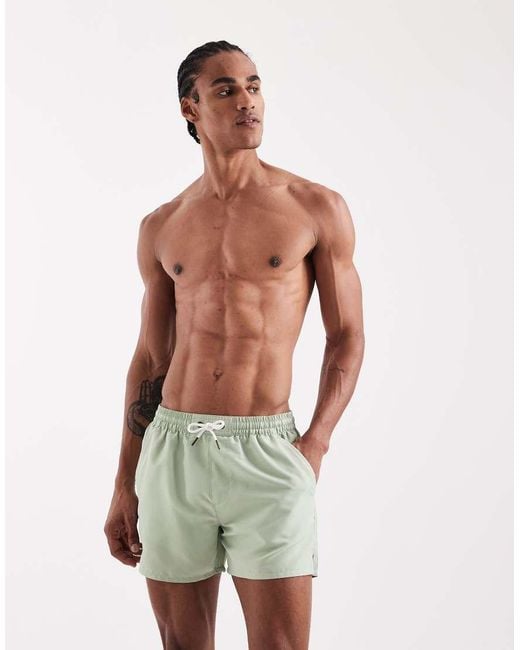 Aray Green Swim Shorts for men