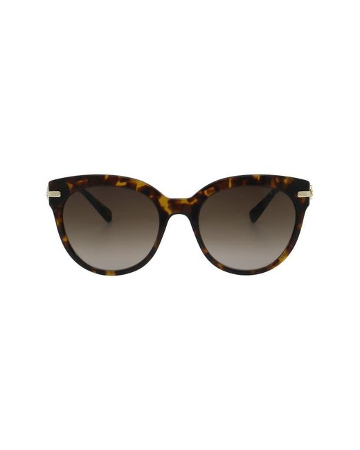 Ted Baker Brown Layla Sunglasses