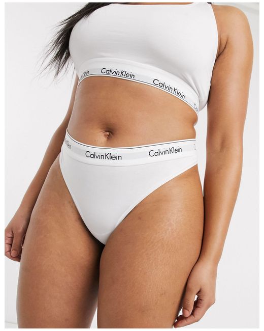Calvin Klein Plus Size Modern Cotton Thong in White | Lyst