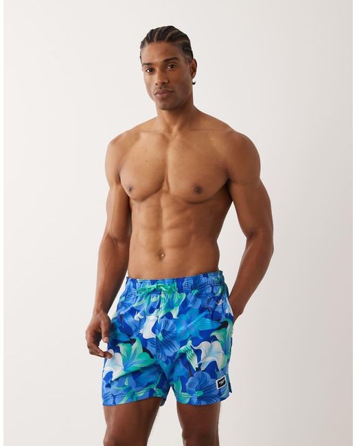 Speedo Blue Printed 16' Redondo Edge Swim Shorts for men