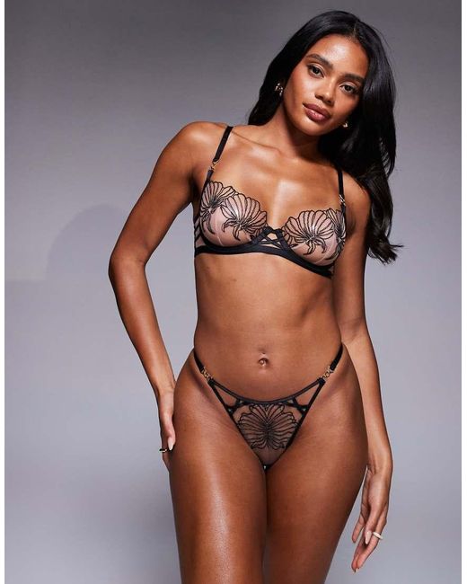 Tanga Con Diseño Estampado De Encaje Incensing De Ann Summers de color Brown