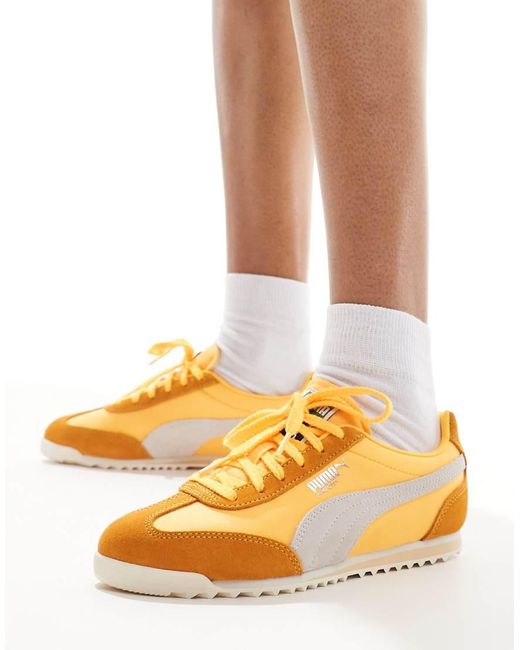 PUMA Brown Arizona Nylon Trainers