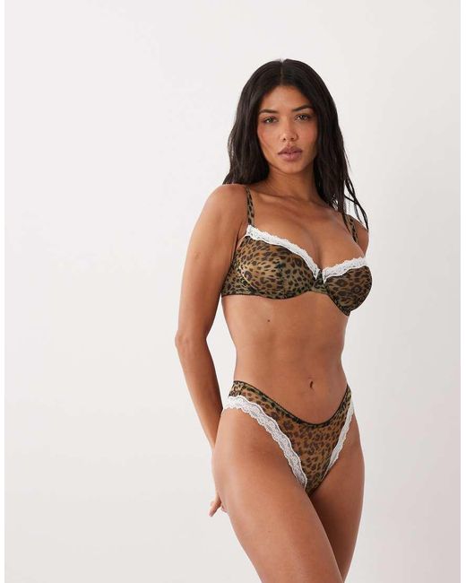 ASOS Multicolor Fuller Bust Savannah Sheer Mesh Leopard Print Underwire Bra With Cream Lace Trim
