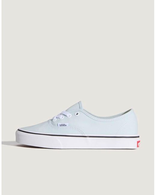 Vans Blue Authentic