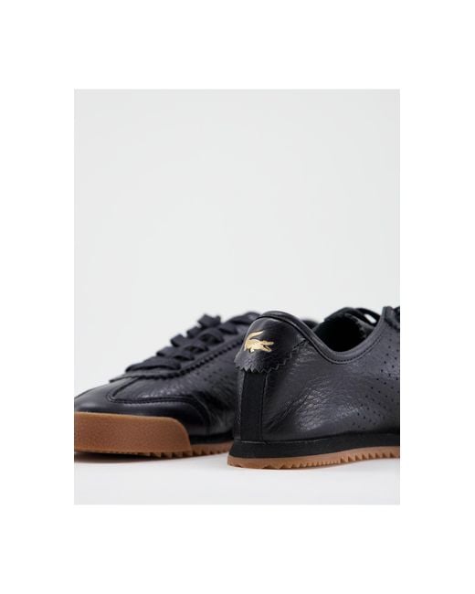 lacoste ascenta