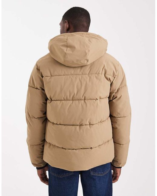 Jack & Jones Natural Hooded Puffer Jacket for men