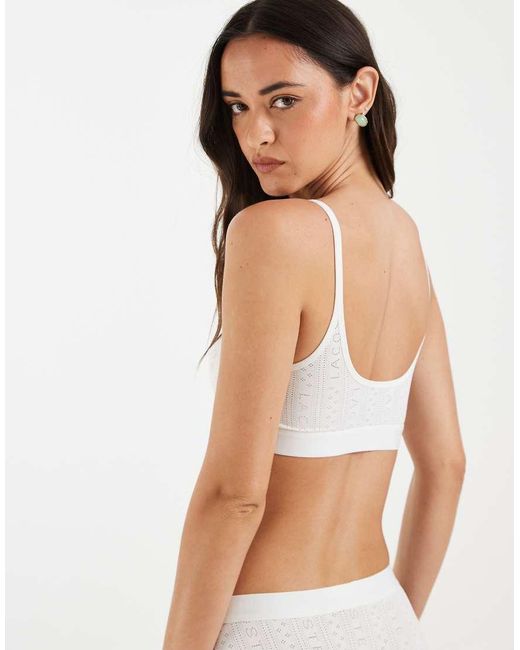 Lacoste Brown Pointelle Bralette