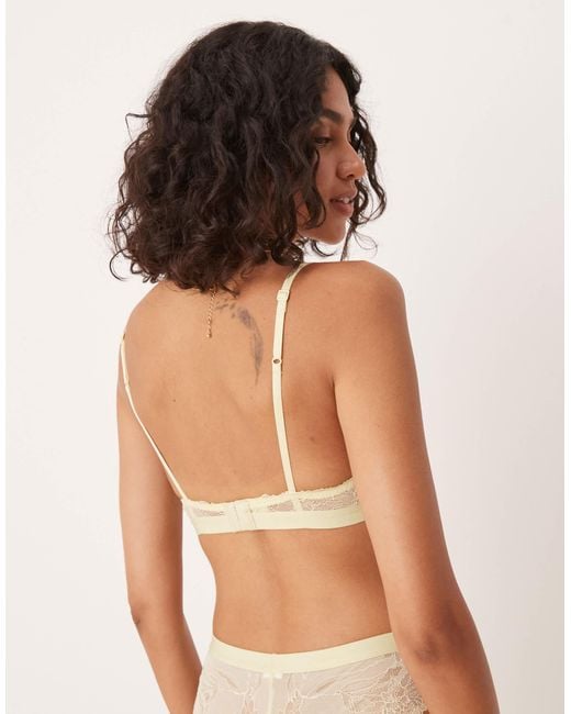 Calvin Klein Brown Modern Lace Lightly Lined Triangle Bra