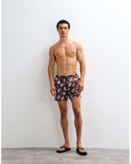 South Beach Brown Paisley Print Swim Short for men