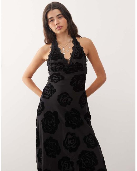 Lioness Black Stars Align Halterneck Lace Trim Open Back Devore Dress