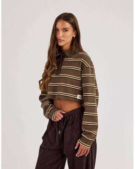 CERNUCCI Brown Striped Cropped Polo Top