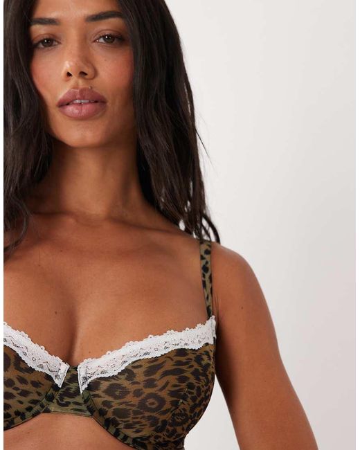 ASOS Multicolor Fuller Bust Savannah Sheer Mesh Leopard Print Underwire Bra With Cream Lace Trim