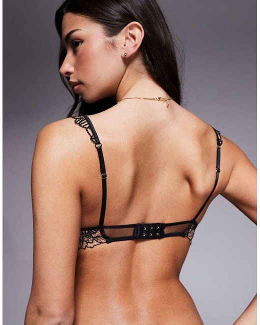 Bluebella Black Amarosa Floral Embroidered Wired Bra