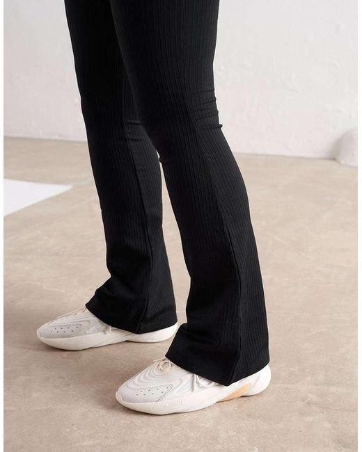 Aim'n Black Ribbed Seamless Flare Tights