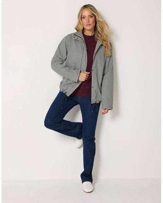 Long Tall Sally Gray Gingham Funnel Neck Jacket