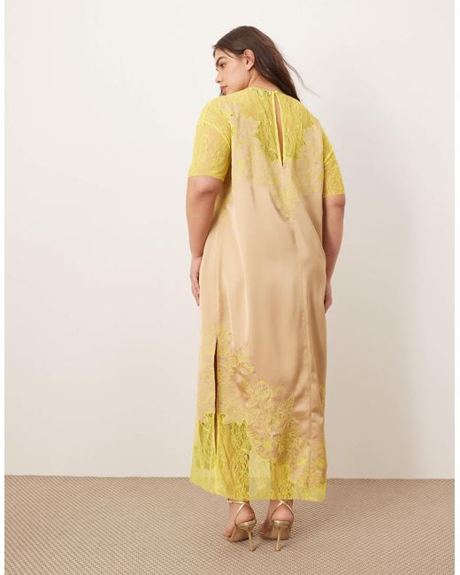 Curve - robe droite mi-longue en satin et dentelle brodée avec appliqués - taupe et citron vert ARRANGE en coloris Natural