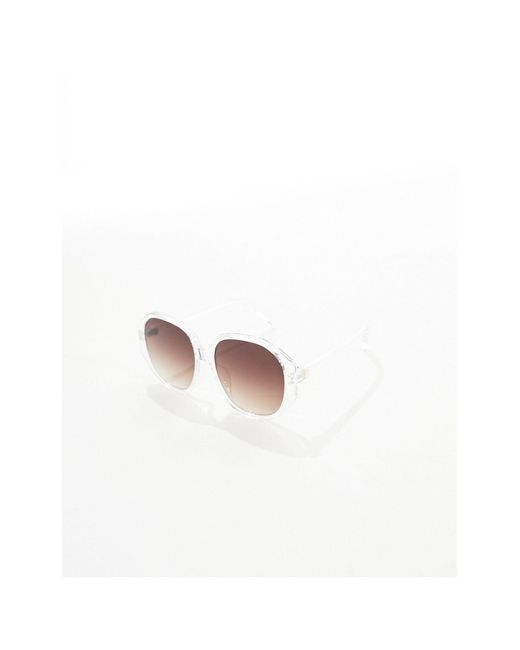 ALDO Brown – nami – runde oversize-sonnenbrille mit transparentem rahmen und braunen gläsern