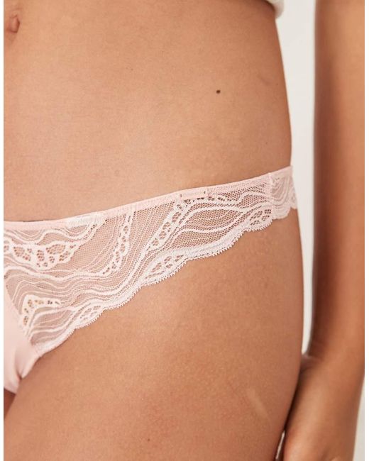 Calvin Klein Natural Sensual Stretch Lace Thong