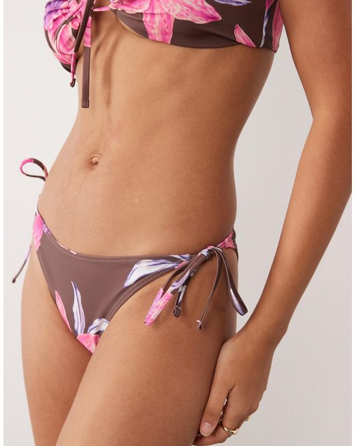 Ensemble Aray en coloris Brown
