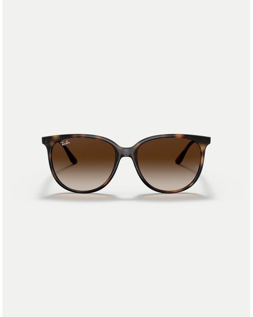 Rb4378 di Ray-Ban in Brown