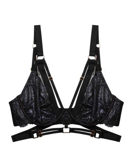 Playful Promises Black Tabitha Wet-Look Lace Plunge Bra