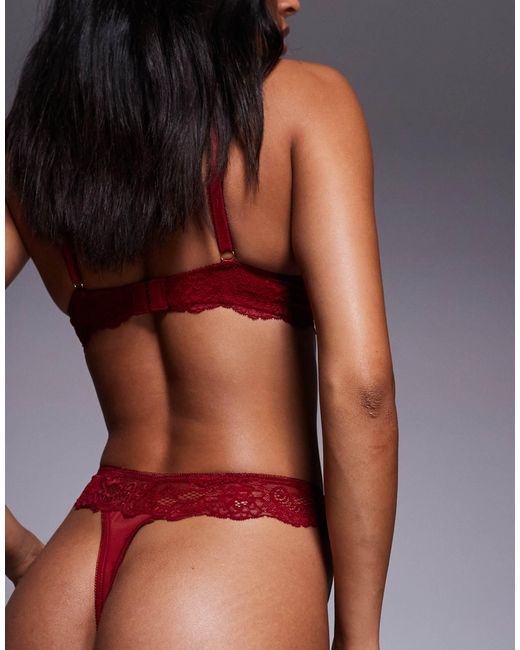 Amber - string Boux Avenue en coloris Red