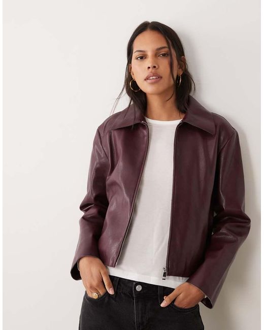 Giacca di Mango in Purple