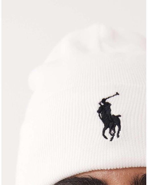 Polo Ralph Lauren Brown Icon Logo Cotton Knit Beanie