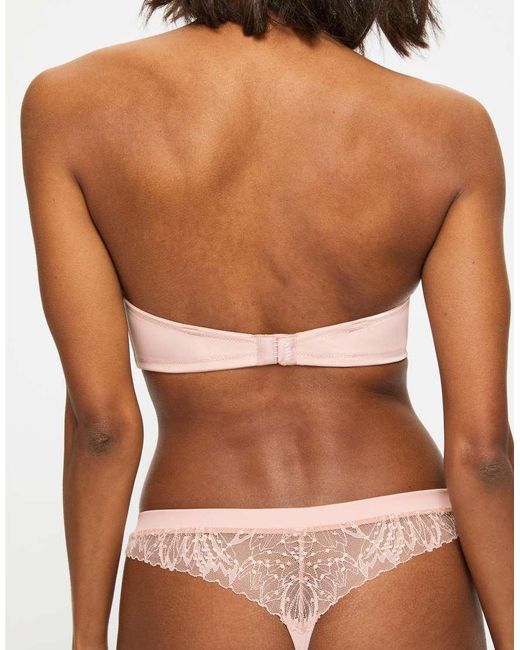 KBX Brown Louisa Padded Strapless Bra
