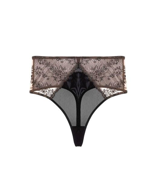 Playful Promises Brown Cassia Embroidery High Waist Thong