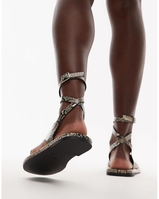 TOPSHOP Brown – jeremiah – zehensteg-sandale