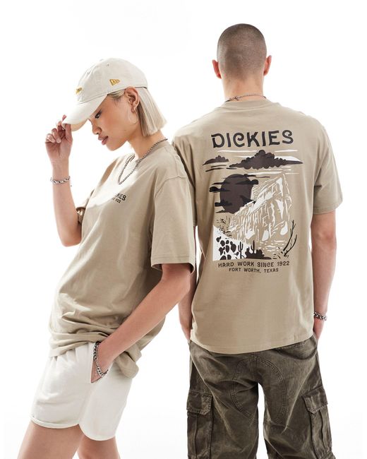 Dickies Natural Eagle Point Short Sleeve Back Print T-shirt
