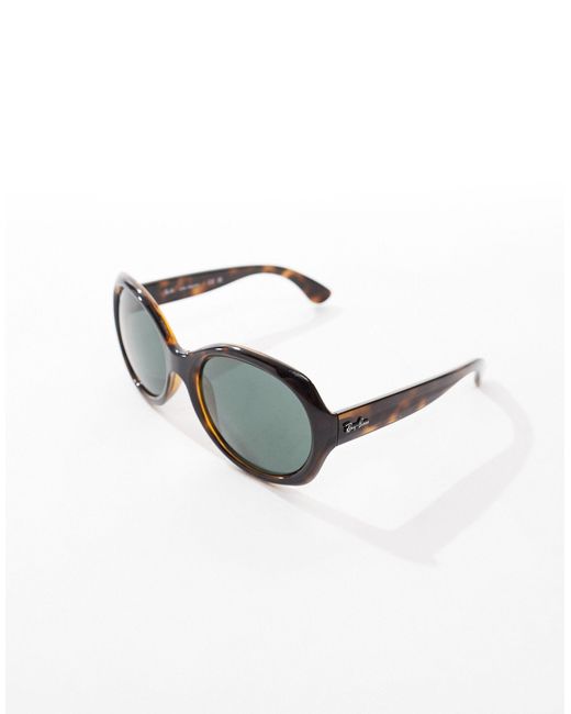 Ray-Ban Brown Oversized Round Sunglasses