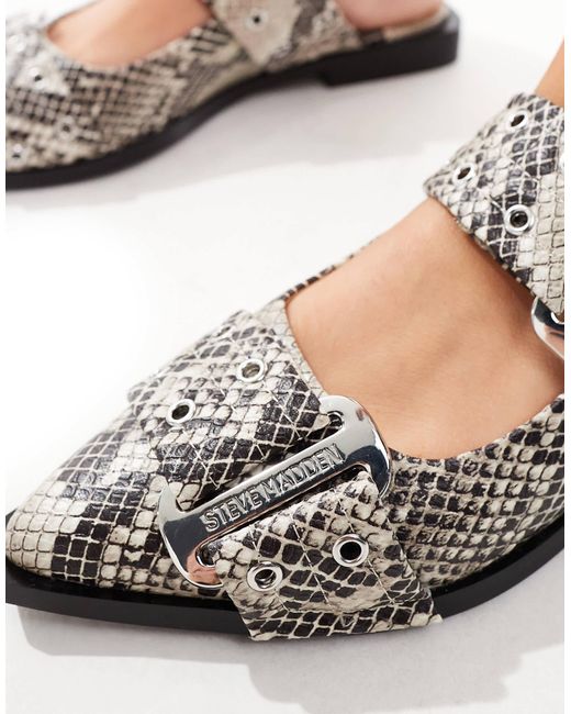Steve Madden Multicolor Grand Ave Pointed Flat Shoes With Buckle Detail