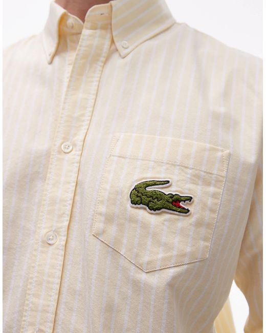 Lacoste – langärmliges hemd mit -weißen längsstreifen in Natural für Herren