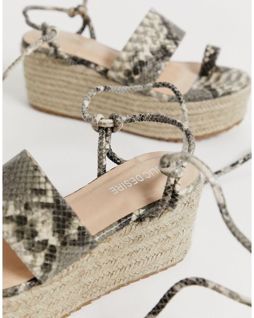 snake flatforms