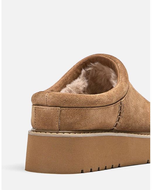 Stradivarius Brown – flache lederclogs