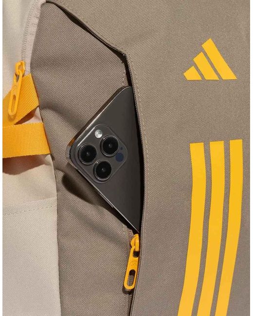 Adidas Originals Gray Adidas Apwr Backpack